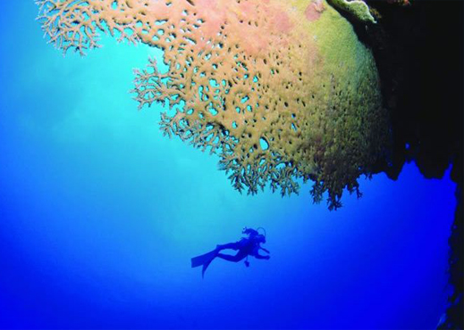 Rodrigues Island